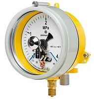 ДМ2005ф Сг1Ехd 1,6 МПа кл.1,5 исп V  УТ000010695