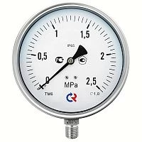 ТМ-621Р.00(0-1)MPa.М20х1,5.1,0  СИЛИКОН УТ000006712
